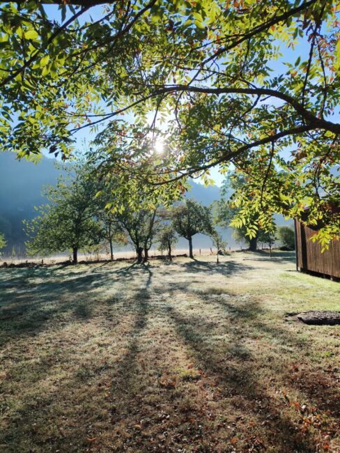 Image 4 : CHALETS DE LA COLAGNE - PMR 4 P