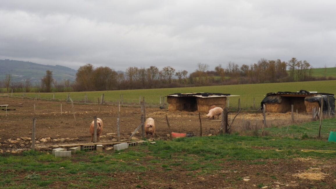 Image 3 : GAEC DES "BIENHEUREUX"