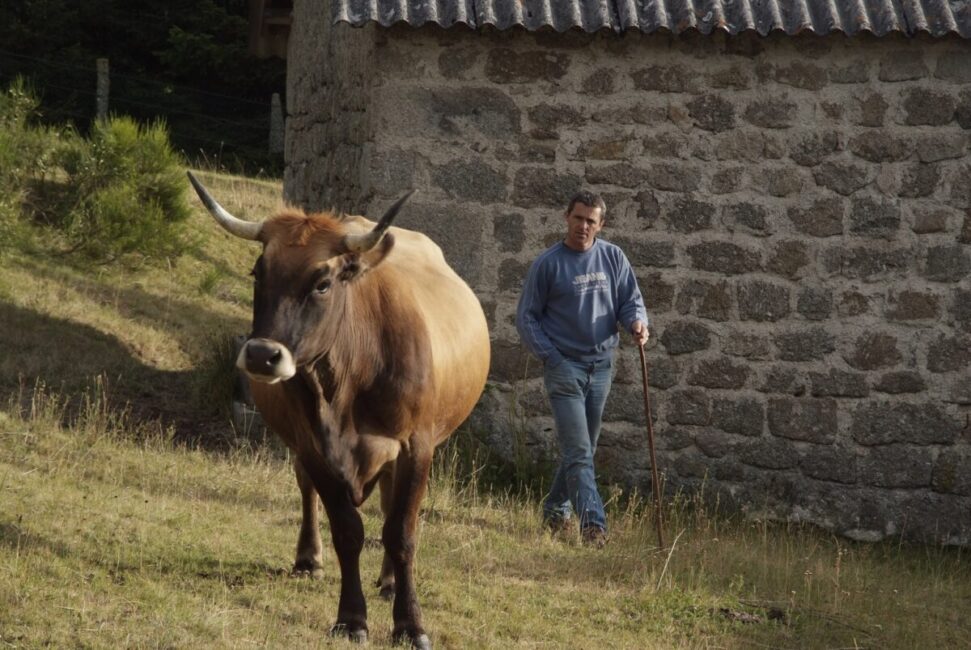 Image 3 : LA FERME DE LASCOLS