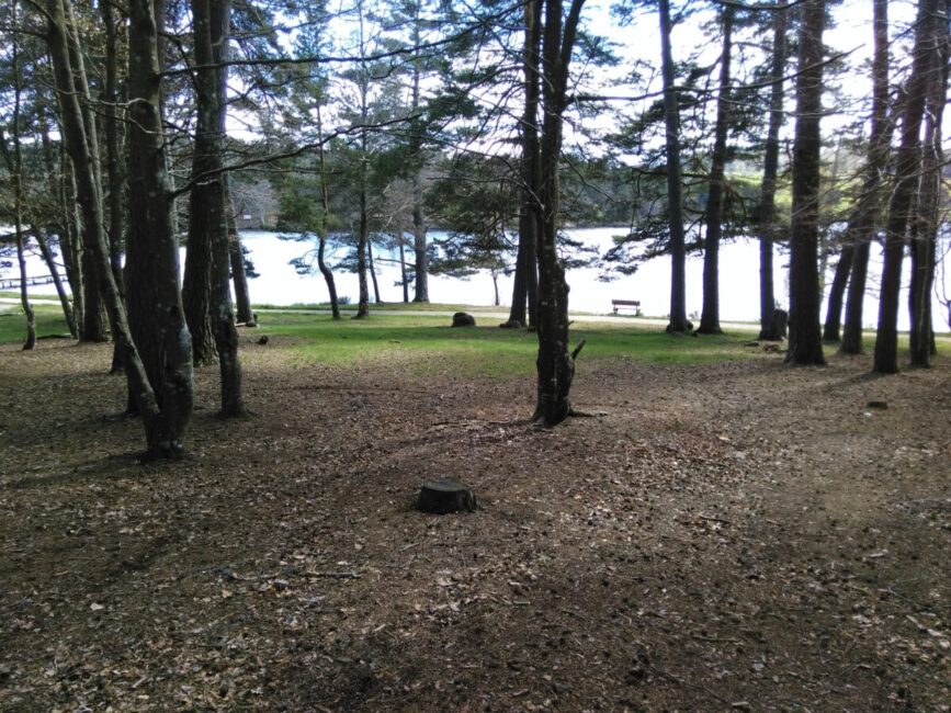 Image 2 : Le Lac du Moulinet