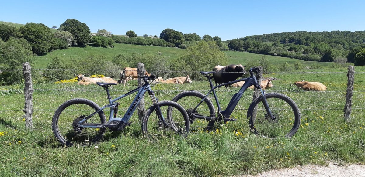 Image 4 : AUBRAC ELECTRO VELO