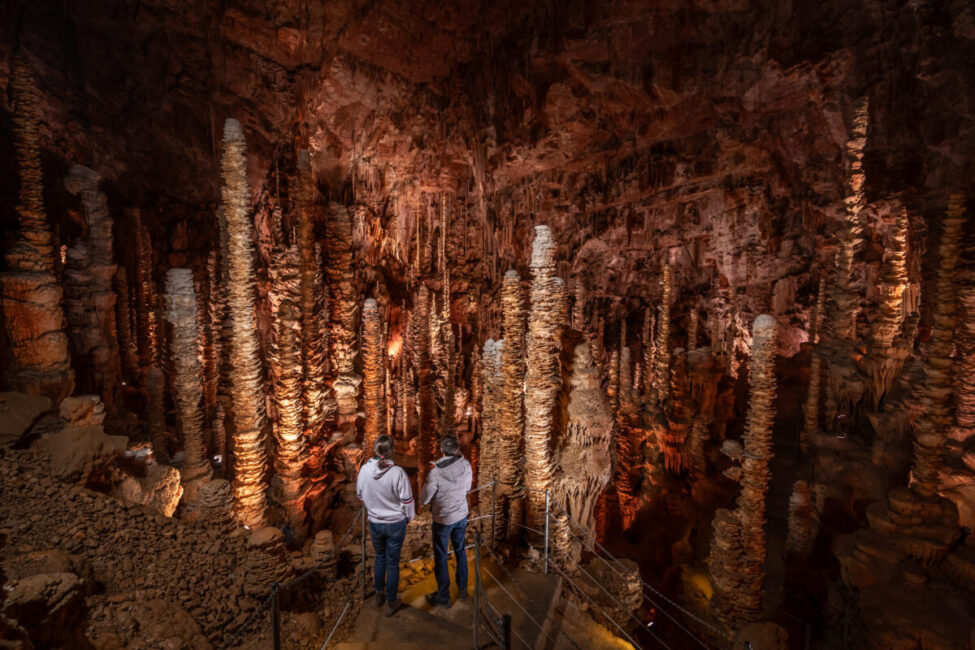 Image 0 : AVEN ARMAND