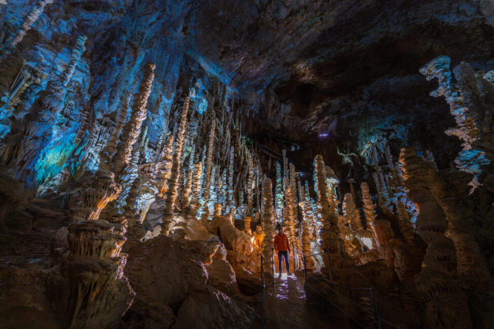 Image 2 : AVEN ARMAND