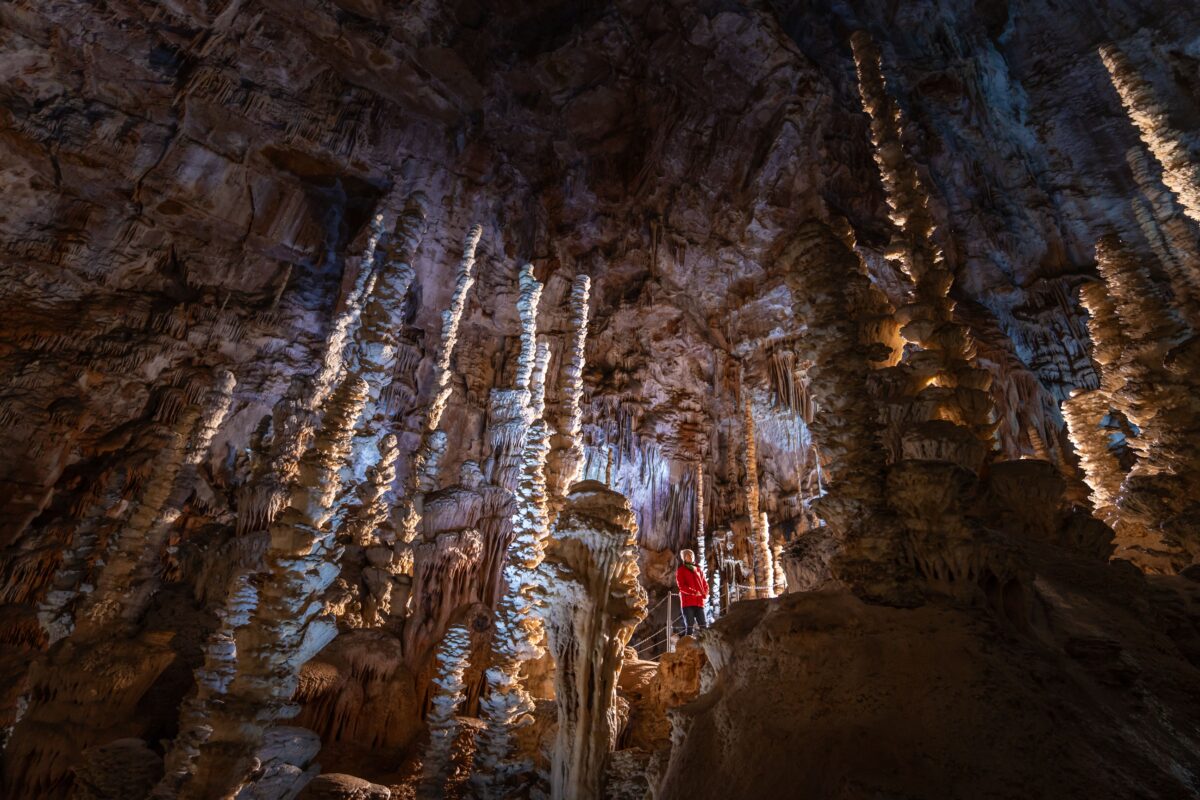 Image 3 : AVEN ARMAND