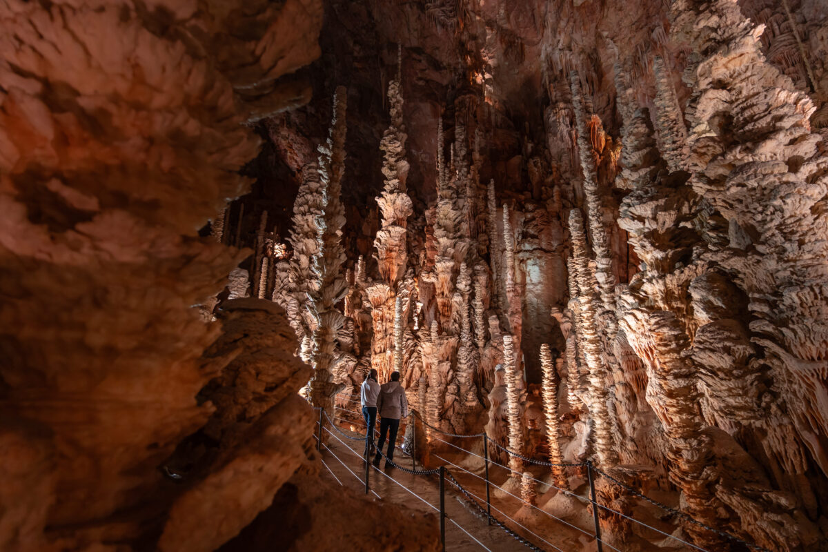 Image 4 : AVEN ARMAND