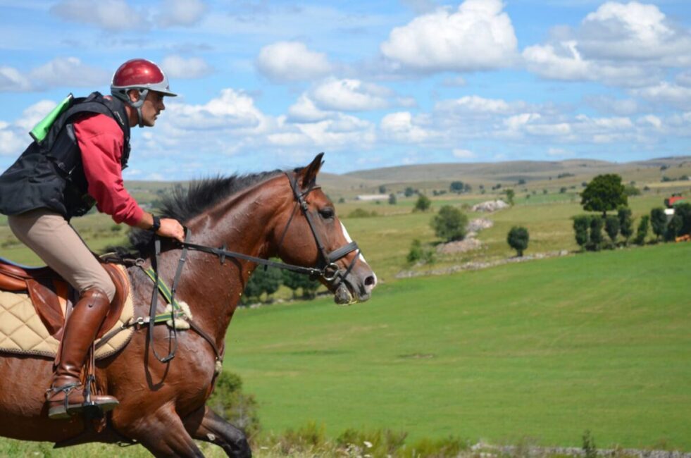 Image 0 : CLUB HIPPIQUE DU GEVAUDAN