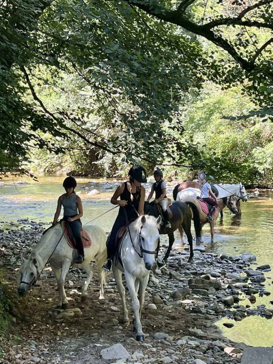 Image 2 : CLUB HIPPIQUE DU GEVAUDAN