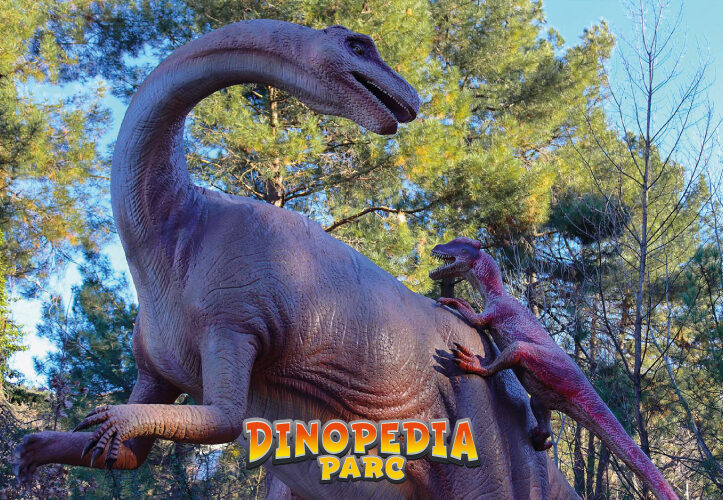 Image 2 : DINOPEDIA PARC