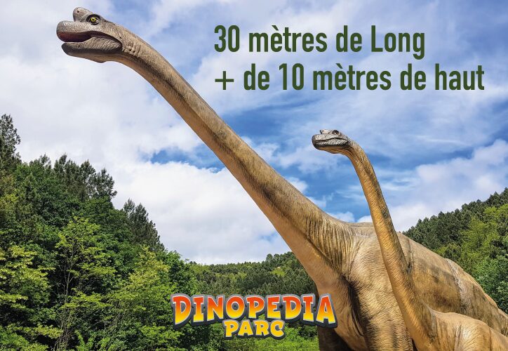 Image 3 : DINOPEDIA PARC
