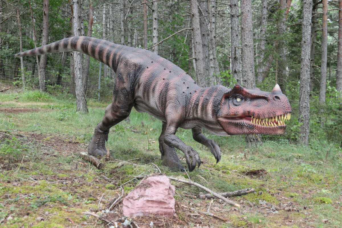 Image 3 : DINOPEDIA PARC