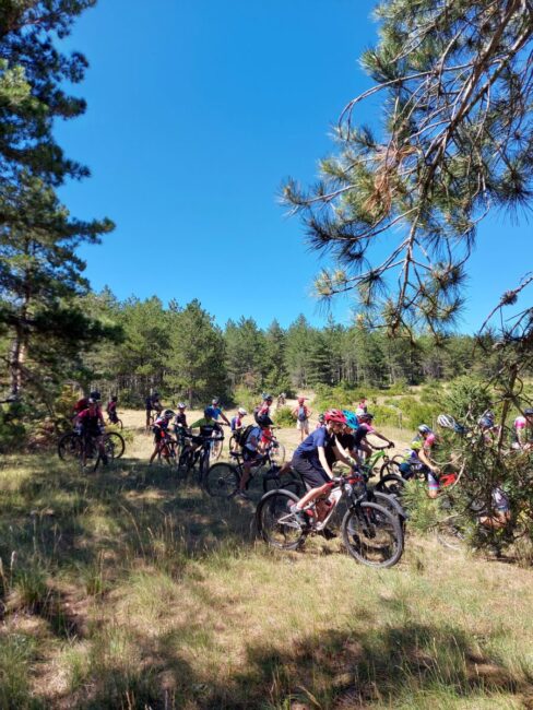 Image 2 : ESPACE VTT - FFC