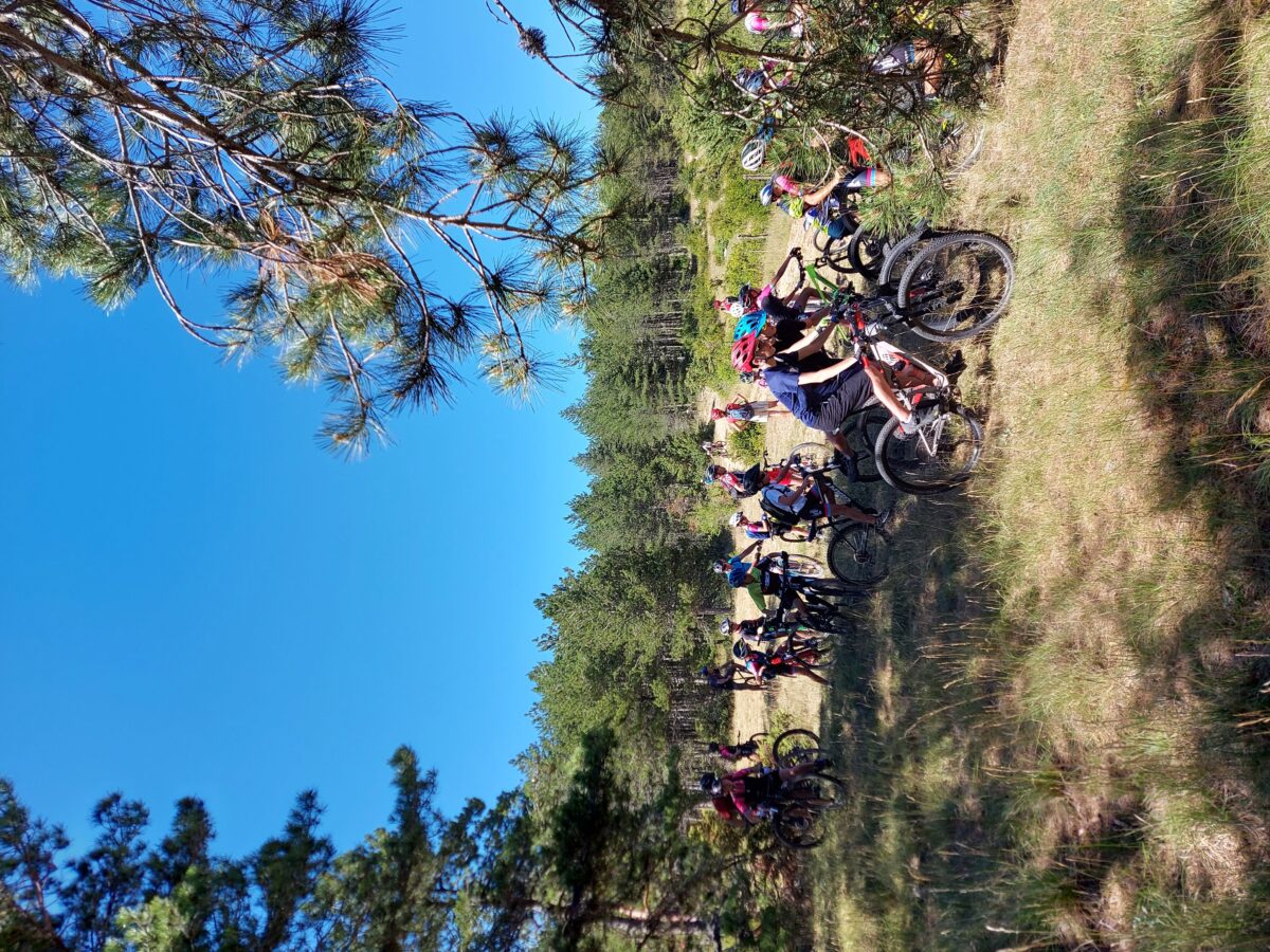 Image 2 : ESPACE VTT - FFC