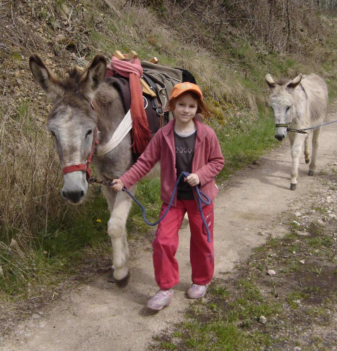 Image 3 : FERME EQUESTRE ASINERIE DU MAZEL