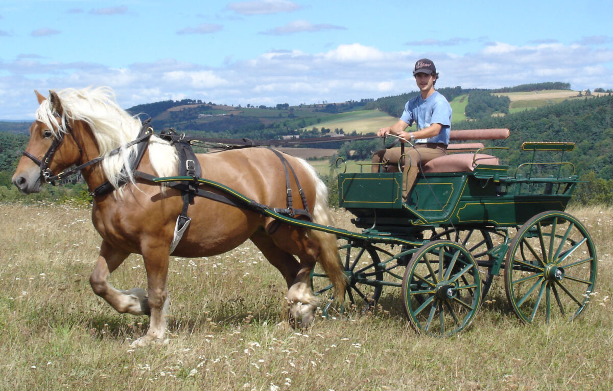 Image 4 : FERME EQUESTRE ASINERIE DU MAZEL