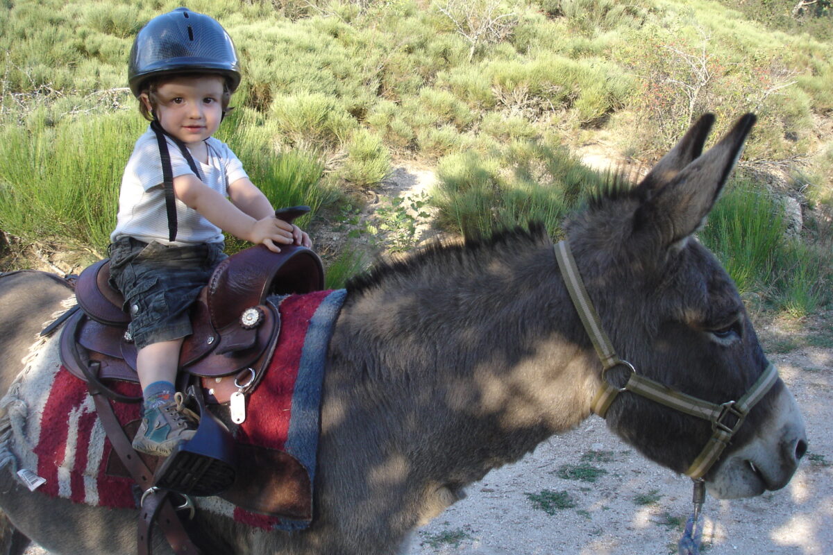 Image 2 : FERME EQUESTRE DU MAZEL