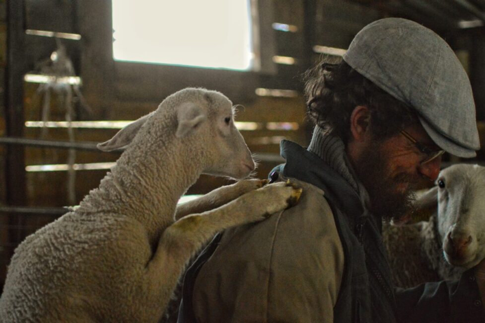 Image 0 : L'ARCHE DE NOË