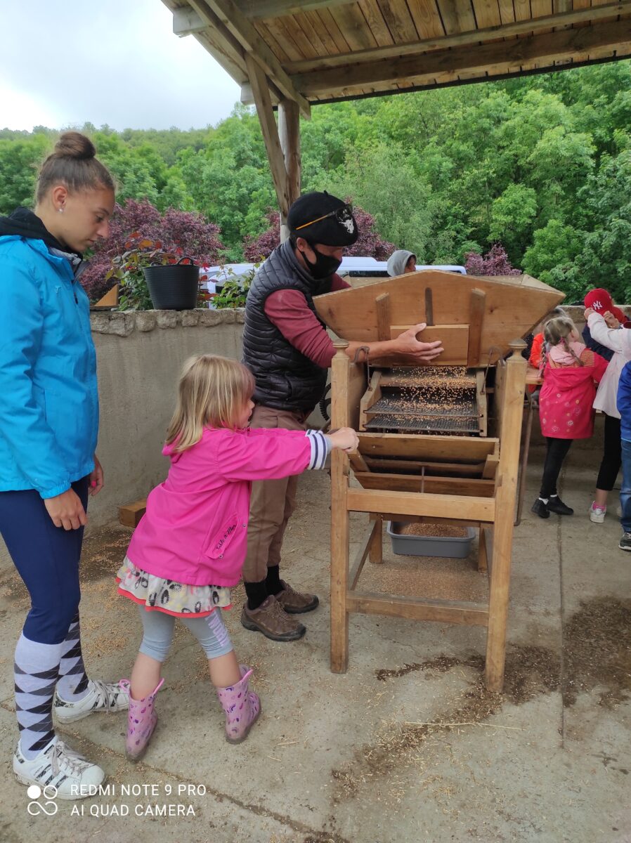 Image 3 : L'ARCHE DE NOË