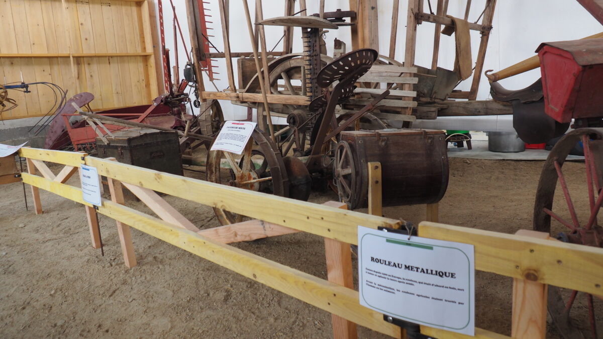 Image 4 : L'ARCHE DE NOË