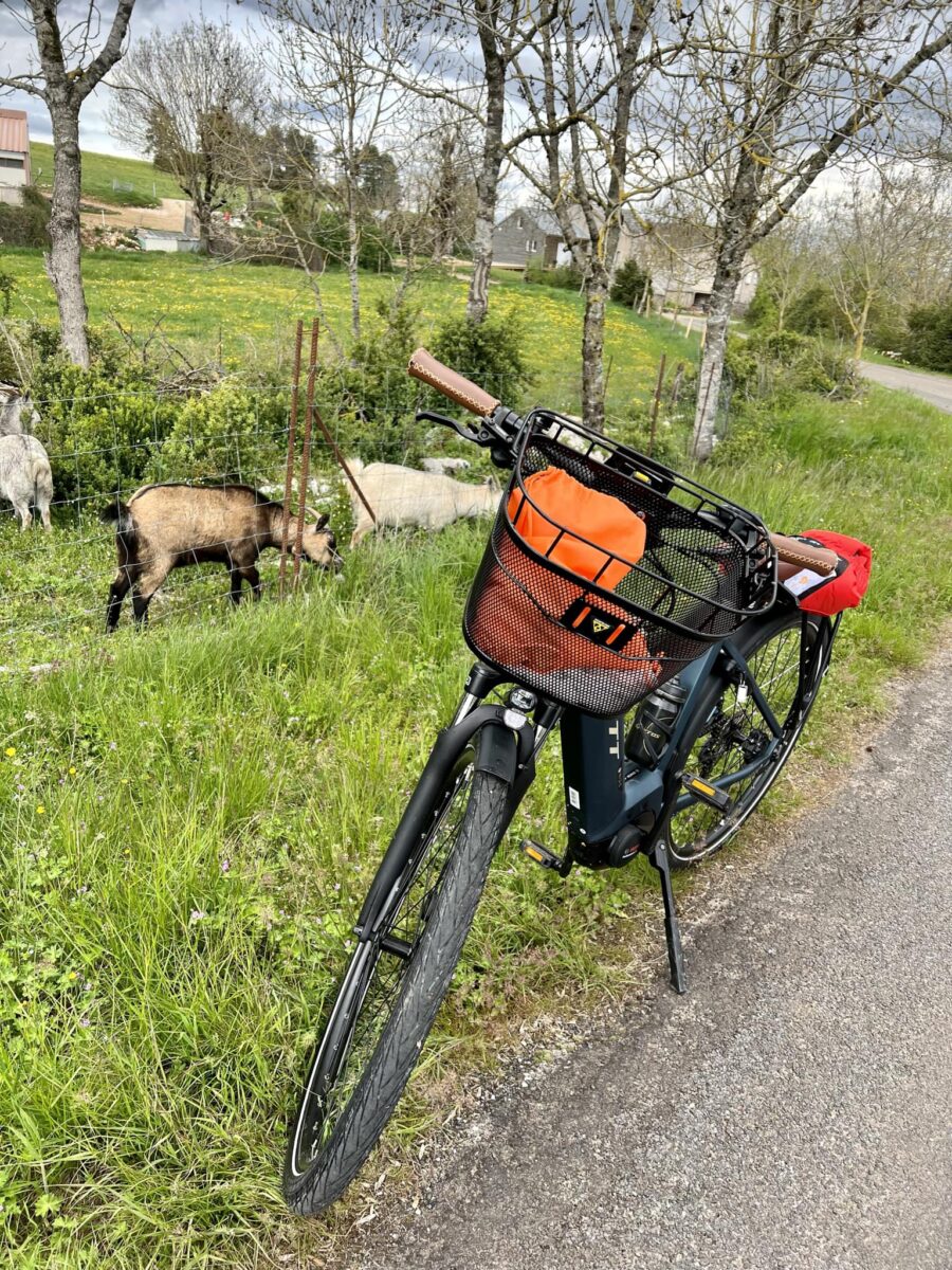 Image 1 : LES VÉLOS DES GORGES DU TARN