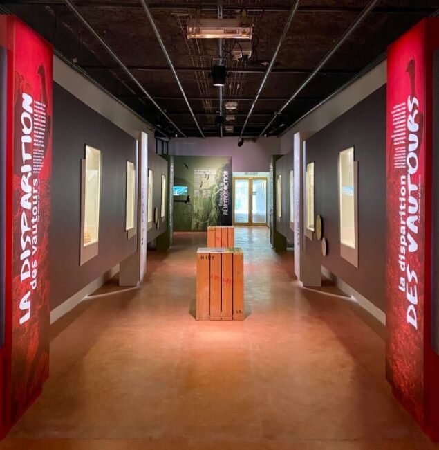 Image 1 : MAISON DES VAUTOURS