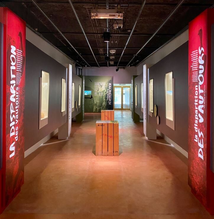 Image 1 : MAISON DES VAUTOURS