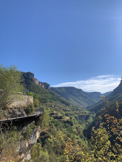 Image 2 : MAISON DES VAUTOURS