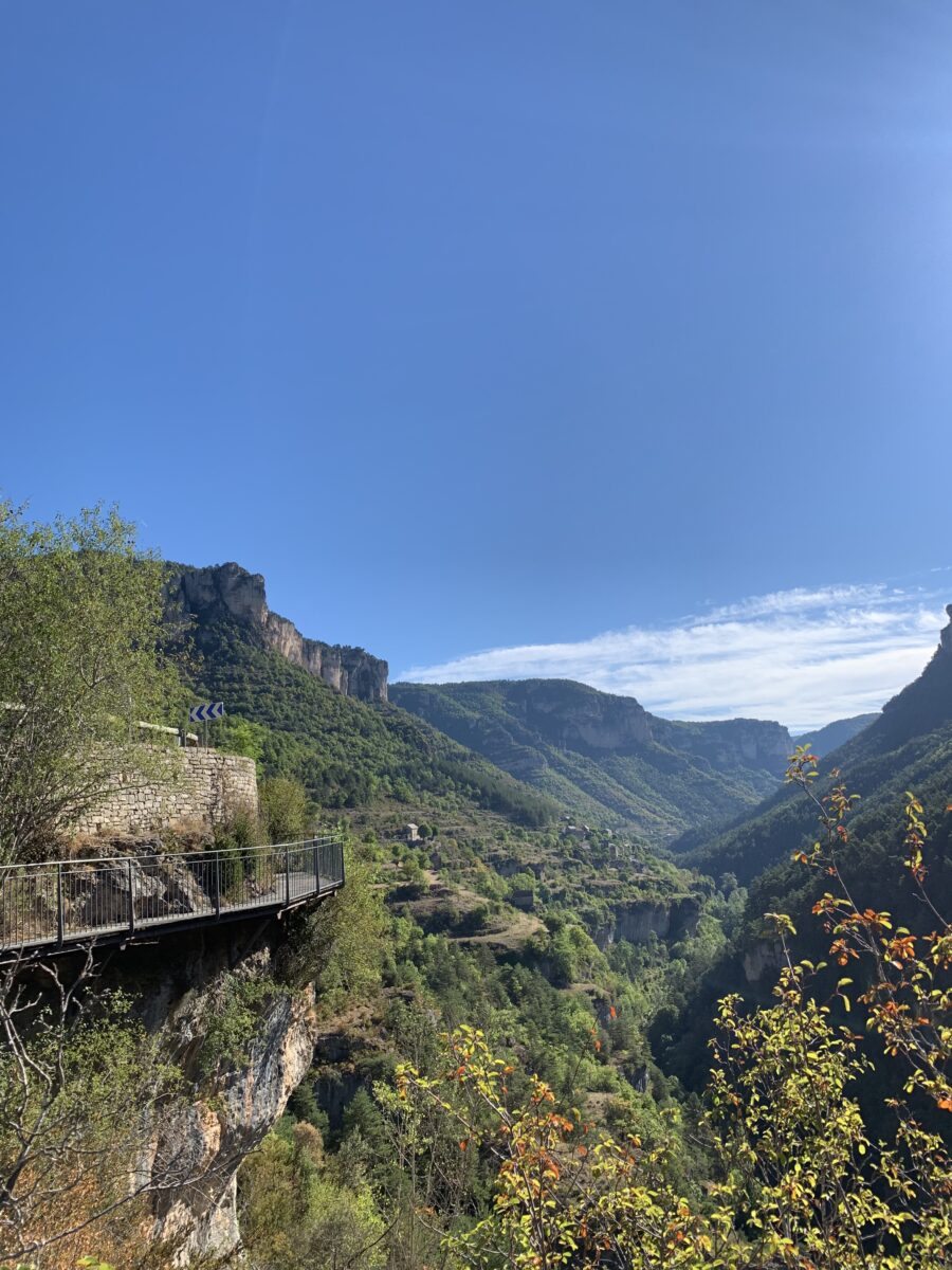 Image 2 : MAISON DES VAUTOURS