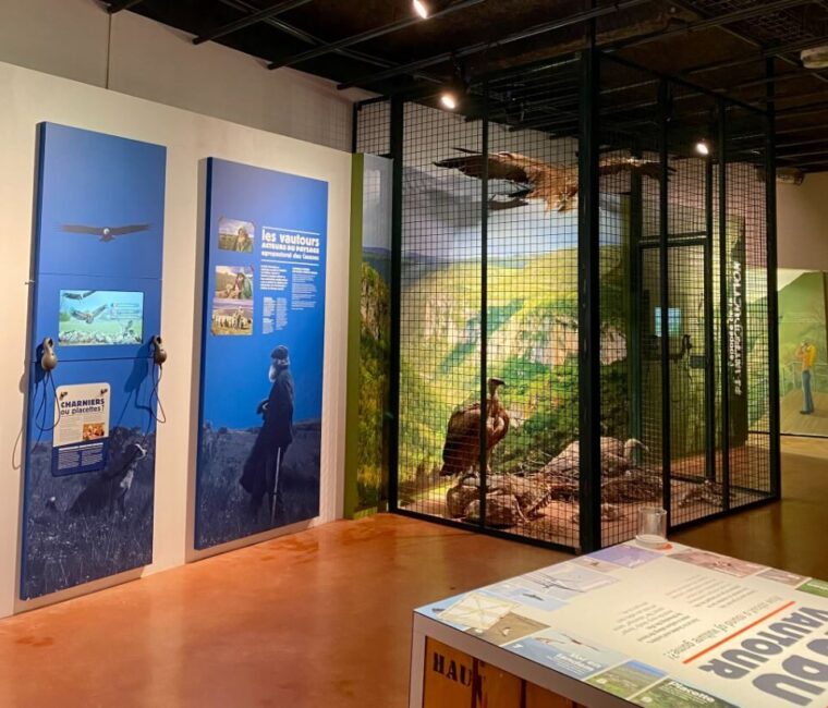 Image 3 : MAISON DES VAUTOURS