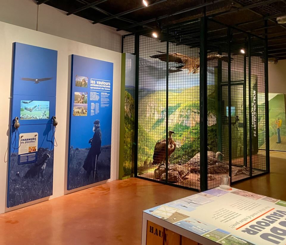 Image 3 : MAISON DES VAUTOURS