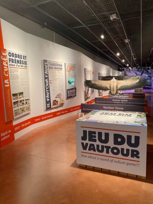 Image 4 : MAISON DES VAUTOURS