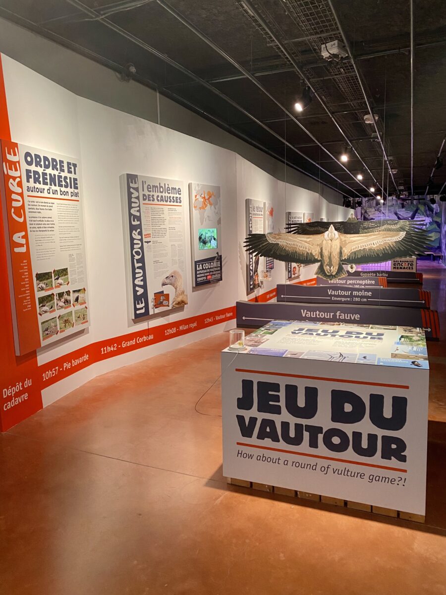 Image 4 : MAISON DES VAUTOURS