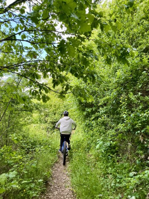 Image 3 : MARVEJOLS CYCLES AND CO