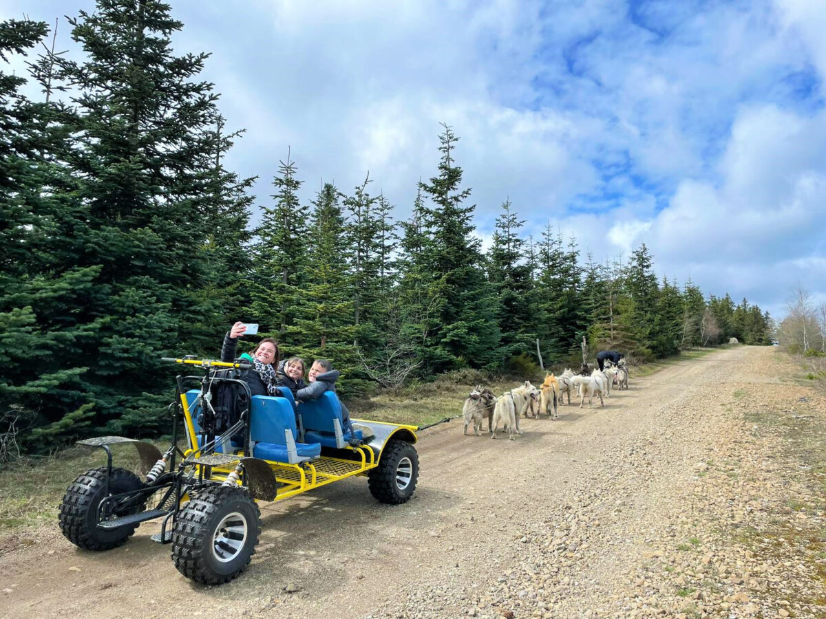 Image 1 : MEUTMATAH - CHIENS DE TRAÎNEAUX
