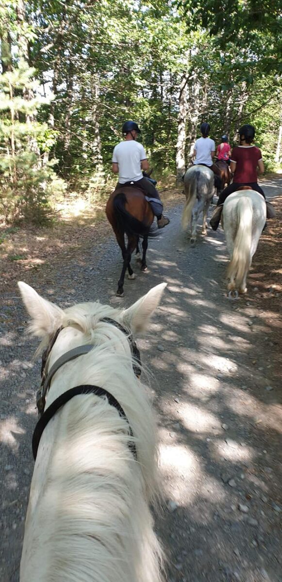 Image 3 : PONEY-CLUB DE LA CROUZETTE