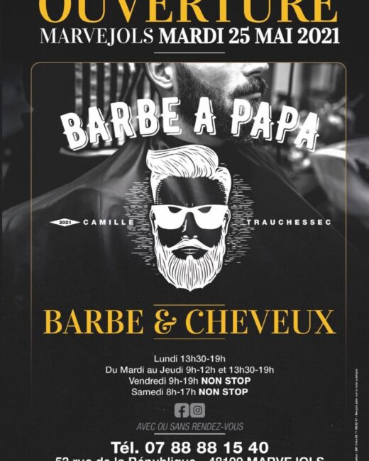 Image 3 : BARBE A PAPA