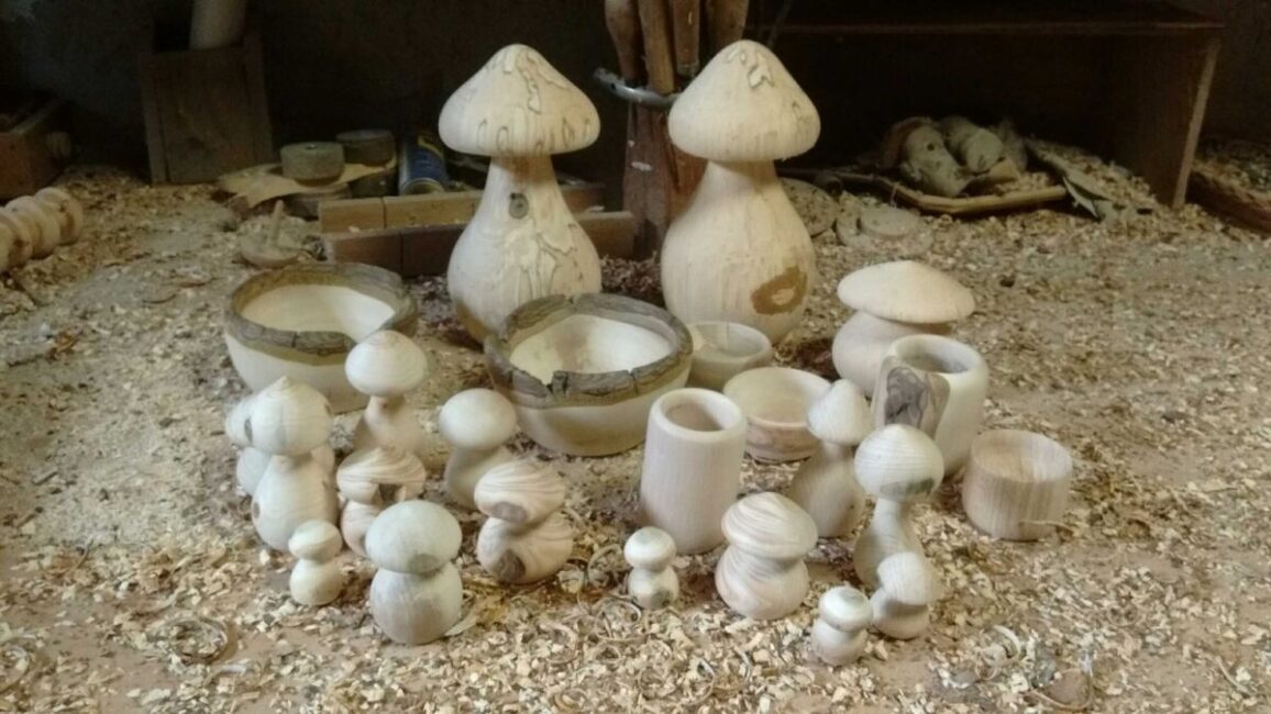 Image 0 : CARIBOUD'BOIS