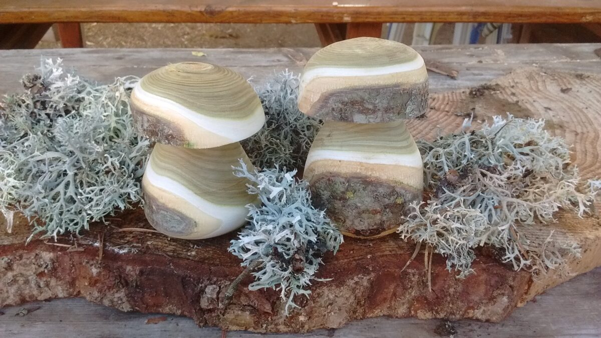 Image 1 : CARIBOUD'BOIS