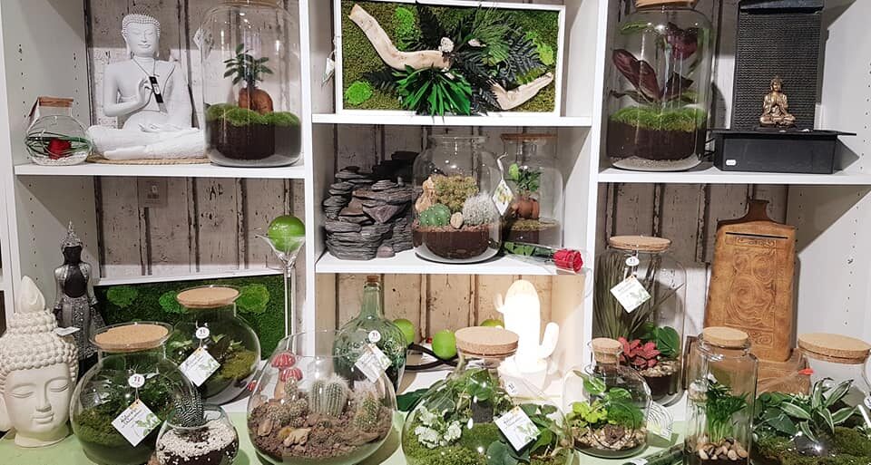 Image 4 : D'UN MONDE A L'AUTRE