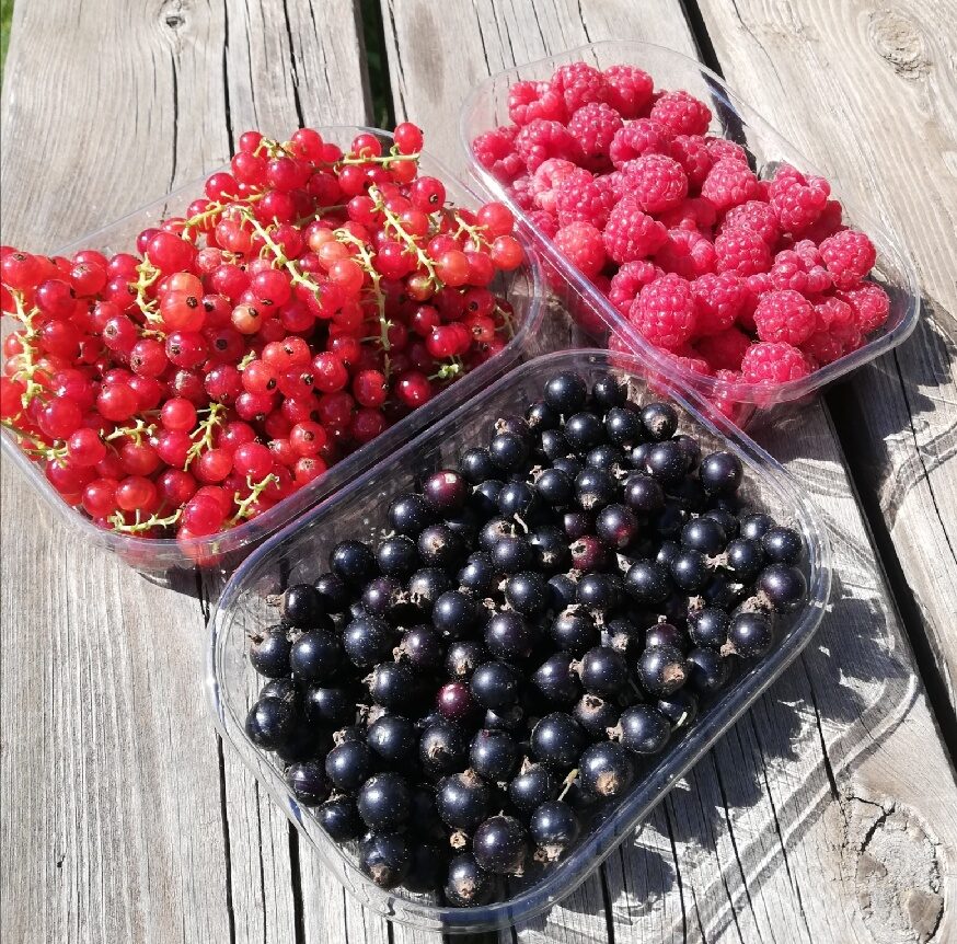 Image 1 : FRUITS ROUGES DE LA COSTE