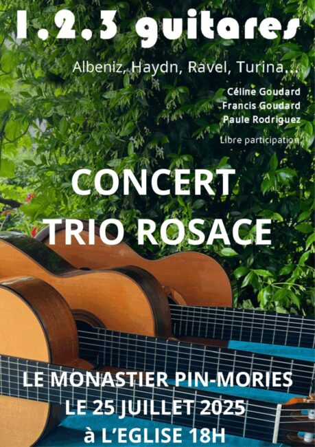 Image 0 : 1,2,3 GUITARES