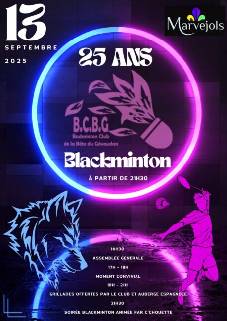 Image 0 : 25 ANS BLACKMINTON