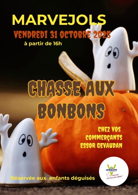 Image 0 : CHASSE AUX BONBONS