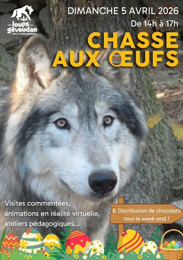 Photo d'illustration de l'événement