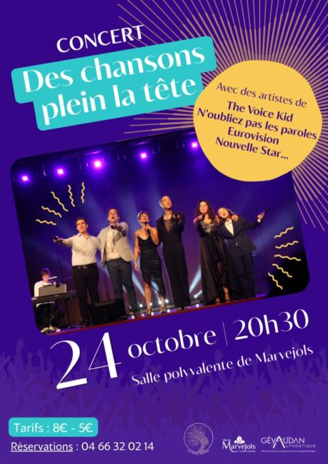 Image 0 : CONCERT DES CHANSONS PLEIN LA TÊTE