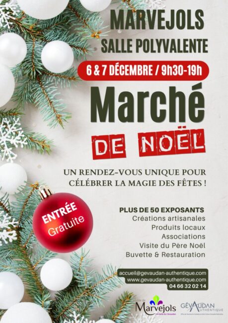 Image 0 : MARCHÉ DE NOEL