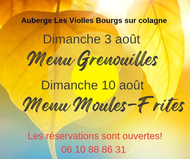 Image 0 : MENU MOULES FRITES
