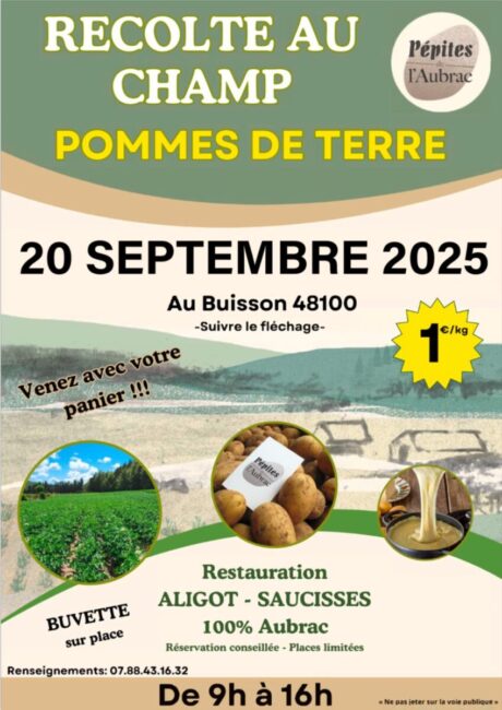 Image 0 : RÉCOLTE DE POMME DE TERRE AU CHAMP