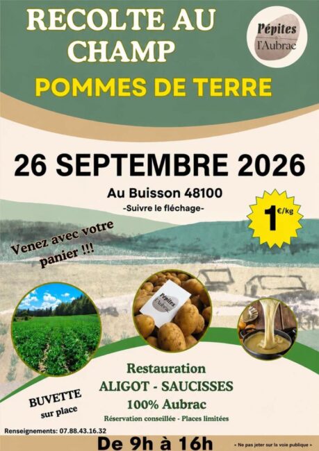 Image 0 : RÉCOLTE DE POMME DE TERRE AU CHAMP