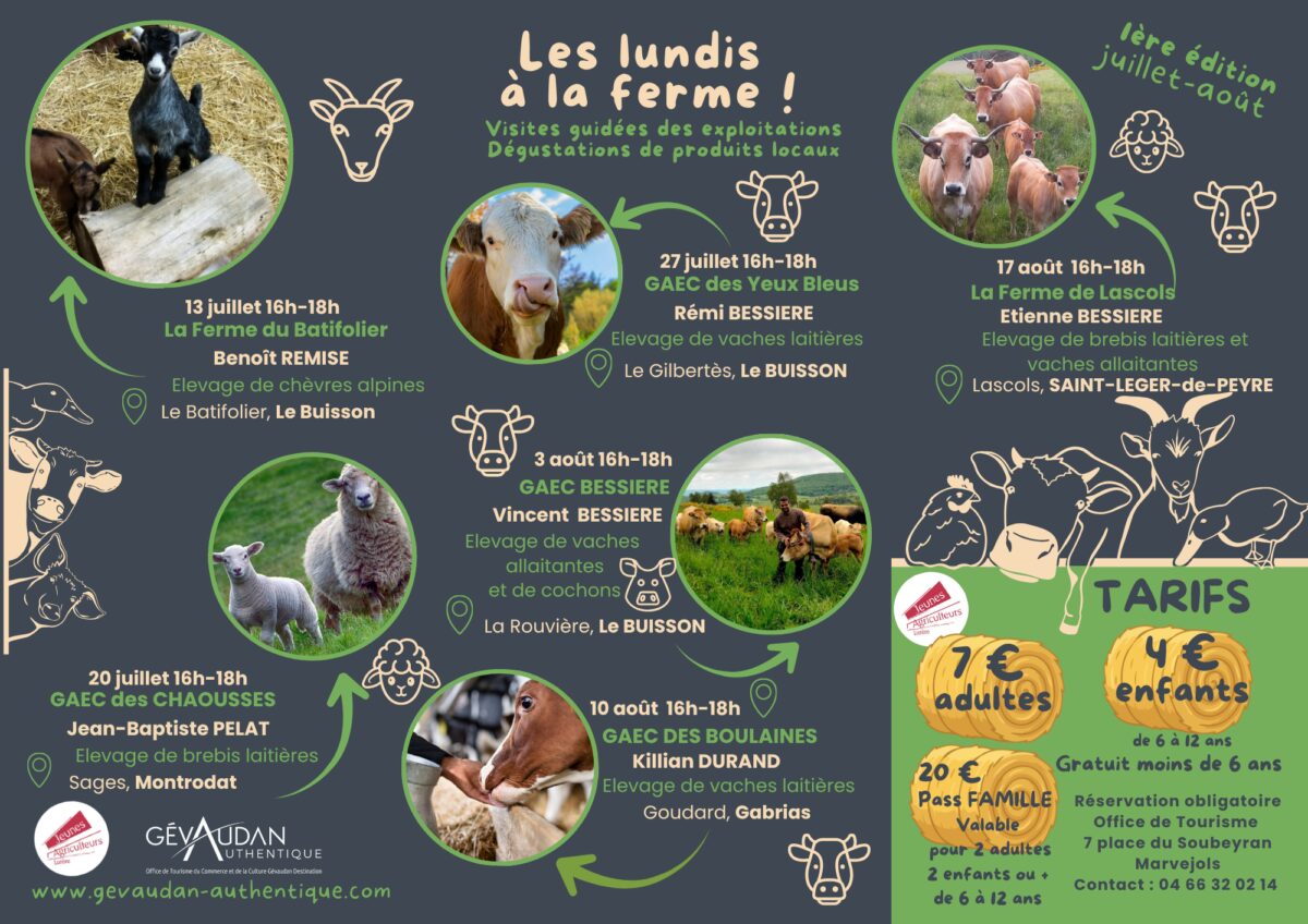 Image 2 : TOUS À LA FERME !