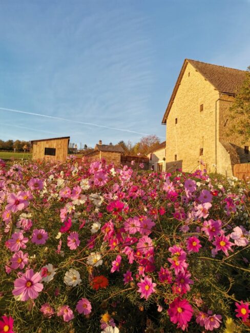 Image 0 : GÎTE DU CRESPIN